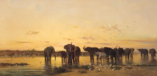 Afrikanska elefanter